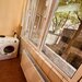 Cismigiu, apartament 2 camere de vanzare, centrala proprie, mobilat.